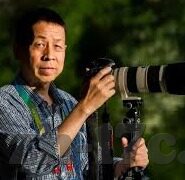 91制厂麻豆女同上线-91制厂麻豆女同上线，重估网络文化与性别认知的界限