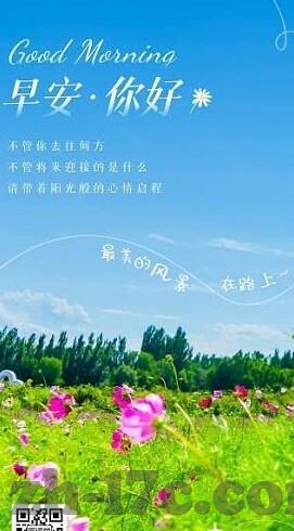 成人激情免费在线视频-点燃生活的火花，成人激情视频的多元视角与影响