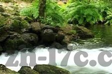 福利一区二区福利视频-探索网络福利视频的多元视角，一区二区的福利视频现象