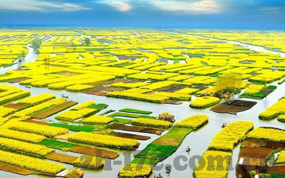 久久麻豆精亚洲av品国产小说-享受文化瑰宝，探索国产视频与小说的魅力
