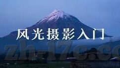 麻豆精东蜜桃果冻传媒-麻豆精东蜜桃果冻——数字时代的视听盛宴与文化探索