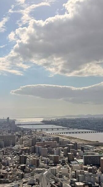免费在线观看麻豆视频-探索网络时代的内容消费新势力，免费在线观看麻豆视频的魅力与影响