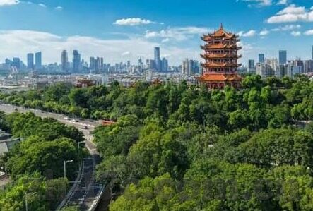 糖心app兑换码免费-探寻隐形福利，揭开糖心app兑换码的免费之旅